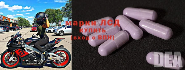 ECSTASY Белокуриха