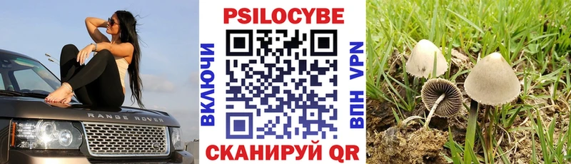 Галлюциногенные грибы Cubensis  ОМГ ОМГ рабочий сайт  Ростов-на-Дону 